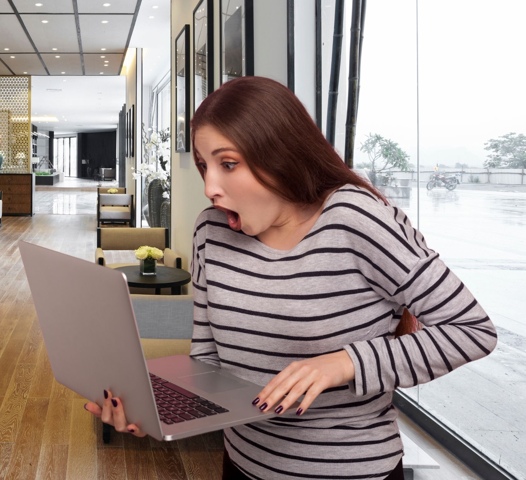 lady with a laptop lady with a laptop